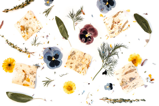 Our Favorite Edible Flowers!